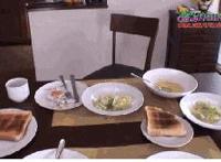 118图库彩图跑狗图:一肖中特免费公开资料