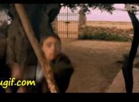 邪恶小说吧纯洁误入:两男一女双插文