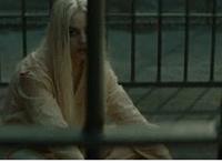 泰迪母狗发情期桃子图:母狗的幸福生活