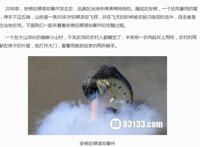 安徽巨蟒渡劫事件真实揭幕