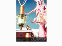 世界上最丑的狗[尤达]