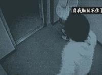 小孩子叼嘿图片:美女动态图片我来了