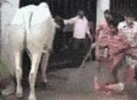 吃老婆的奶动态图:奶水能一直给老公吃吗