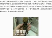 泰国小鬼真实图片