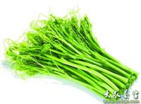 龙须菜的营养价值