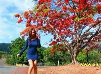 午夜迷情视频播放:美女与野兽真人版动态图