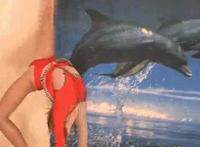 捅了动态图:美女被爆菊花视频大全