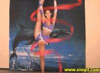 女人爆菊花的视频:爆菊花是什么意思图解