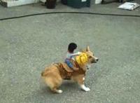 国产自拍这里只有精品:99re6久久热