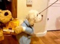 深夜陪聊qq包射:包射美女qq,包射小视频微信