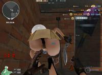 灵狐者的内裤图片:火线精英美女的内裤图片