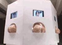 美国一皇四后图:一皇二后视频在线播放