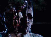 男女动态图全过程:男女插床图片