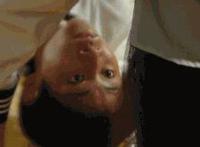 拍照片被摄影师玩:被摄影师上小说