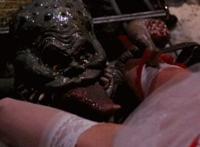 资源网在线观看:摩天轮社区动态图