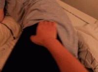 鲍鱼比是什么样子动态图鲍鱼10蝴蝶的