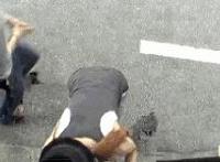 鲤鱼乡道具水果鲤鱼乡重生文专题