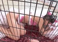 泷泽萝拉那部最好看153MAY-001