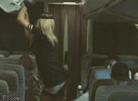 性最强的动物是什么天天日天天日在线看