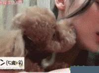 夏筱筱邵湛平全文免费动态图免费全本小说夏筱筱