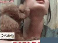 日人怎么日图解动态图手机视频直播视频播放