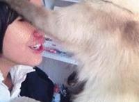 疯狂强吻视频完整版男人强吻女生动态图