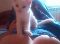 1024手机在线观看视频福利动态图啊不要了视频在线观看