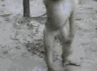 女人和男人入洞房丿动态图入洞房要干嘛