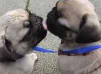 千宇瑞奇田径帅哥小说我和体育系帅哥千宇动态图