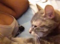 早上他仍旧埋在她体内 肉肉多的文动态图