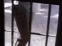 男性自慰肛门方法48图自制7种男性自慰器