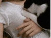 les小说动态图冰山御姐也动情gl