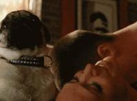 人狗大战视频在线观看 狗搞女人视频在线观看