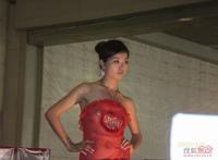 没有穿衣服的时装秀高清图片 2015深圳内衣秀高清