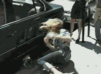 驴交配骡子视频 女生为什么不能养泰迪