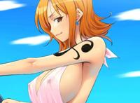 海贼王娜美禁图h 娜美禁部受傉动态图