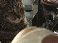 女生zw特殊的方法 可以用什么工具zw