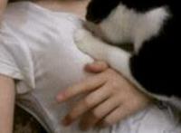 小钢炮母乳吧母乳论坛 奶水88论坛福利动态图