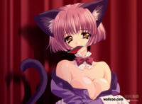 松本乱菊h本子全彩度盘 松本乱菊本子百度云