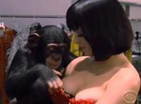 莞式服务有69式互舔吗：莞式69式相关视频