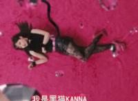 一根材成人网站 2016网站你们都懂的