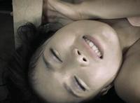 枪神纪刀锋被双枪搞死 枪神纪医生福利本子