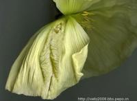 十八种名器图解 女人名器真人图百度