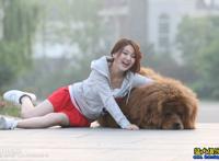 闹闹飞飞聊天记录图片 女人爱狗狗微信群真实图片