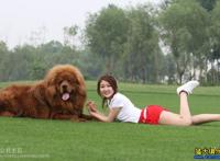 爱狗女士群2016年截图 爱狗群验证图