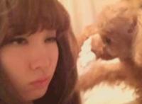 经典动态图及其番号 经典番号动态图gif图解出处吧吧gif