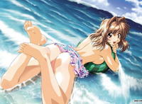 神奇宝贝pix x x：宠物小精灵本子 口袋妖怪本子