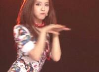 狼狗进入张柔第一章 我有一条狗四米大 养条狗搞我