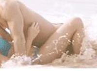 rd 295属于哪个系列：rd295 speedpluss图解