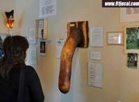 男人的丁丁长什么样14的男生丁丁图